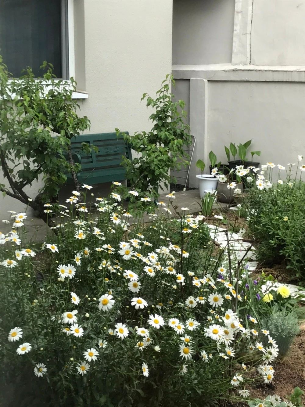 KakaoTalk_20210515_214742021_01.jpg?type=w1600