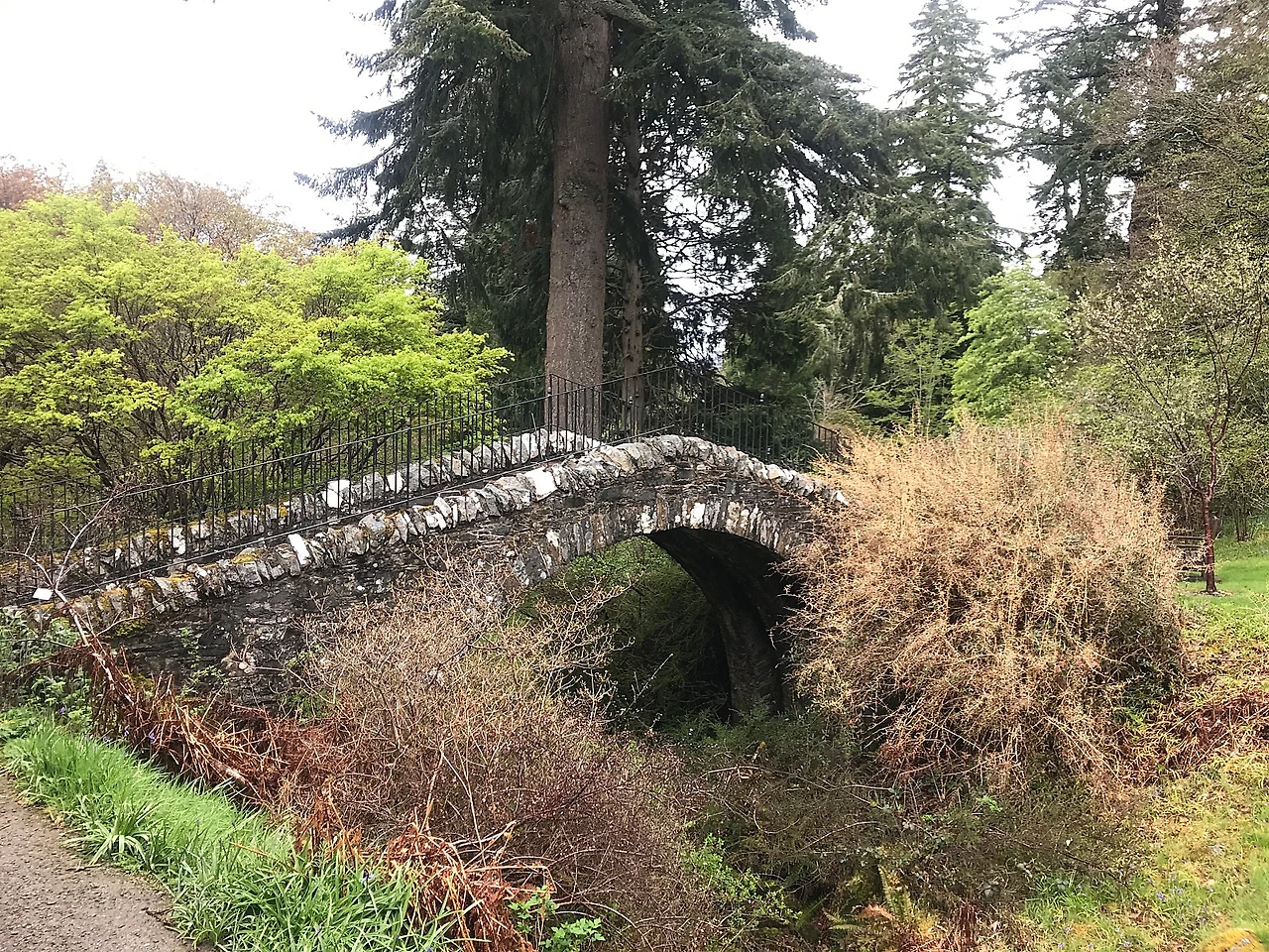 P20230508_202254228_7F0F7CA5-A7A6-4EC1-953A-C194B792D902.JPG?type=w1600