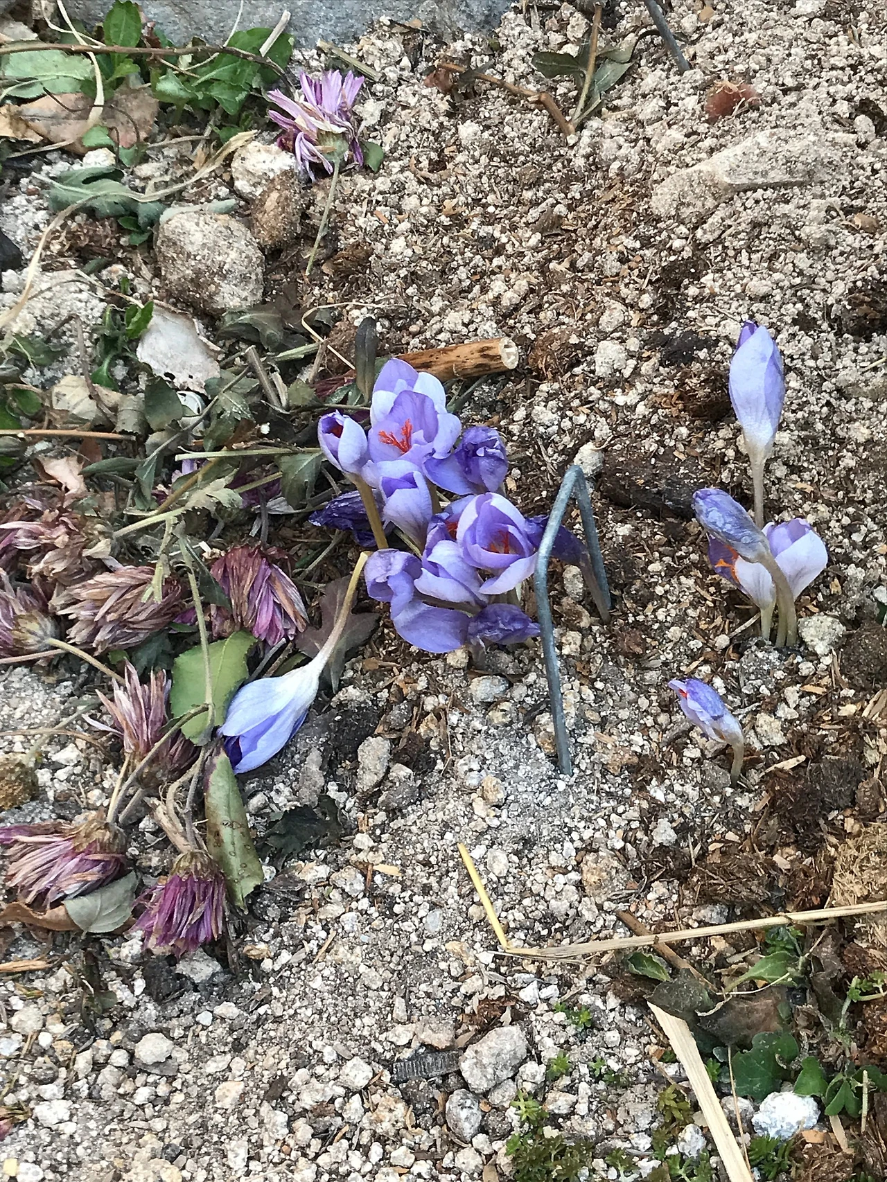 CE39C3F5-95EF-431B-963A-71A9678514A0.jpeg?type=w1600