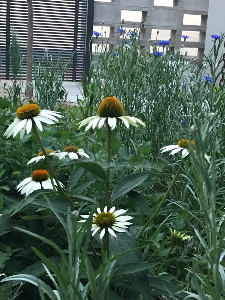 KakaoTalk_20201107_222329016.jpg?type=w1600