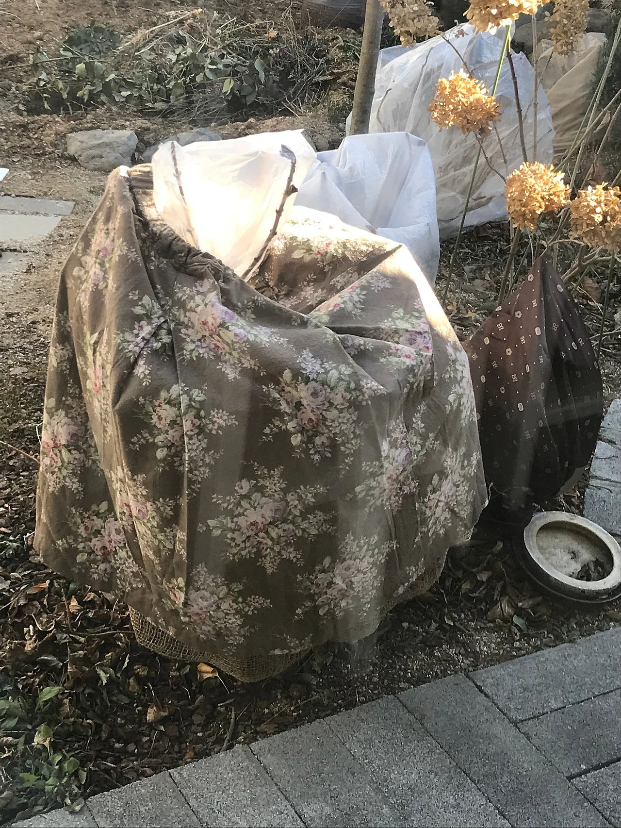 8962672F-79B3-47AA-A8D2-E5BF5E2BD190.jpeg?type=w1600