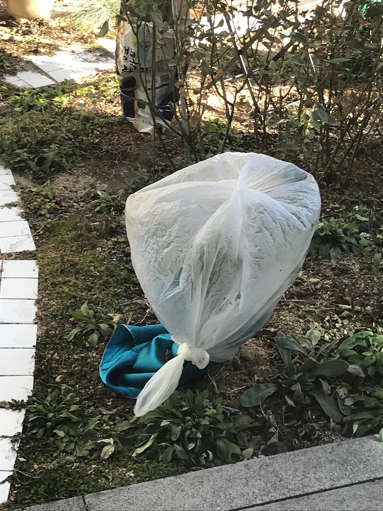 2CA21697-8FE1-4553-8F4B-C5369E0299AF.jpeg?type=w1600