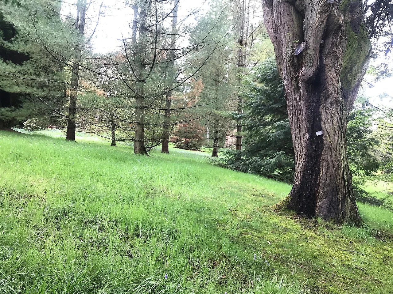 P20230508_201612336_738EF29A-E69A-41C8-A341-7BCB5C2D750E.JPG?type=w1600