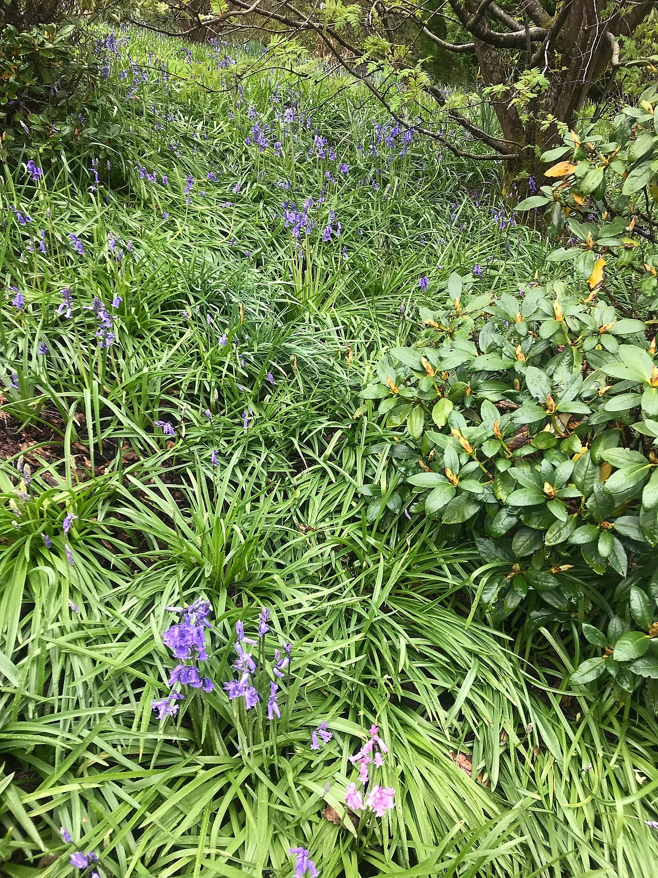 P20230508_202747712_31C7B111-9356-46A1-A10F-CE3313179113.JPG?type=w1600