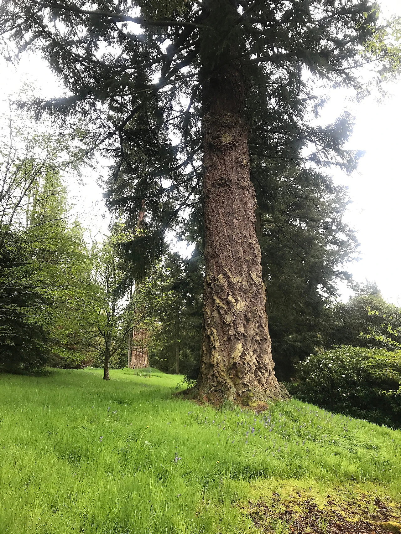 P20230508_201538485_61F0C062-D975-4F76-BB67-E2CD581A7B85.JPG?type=w1600