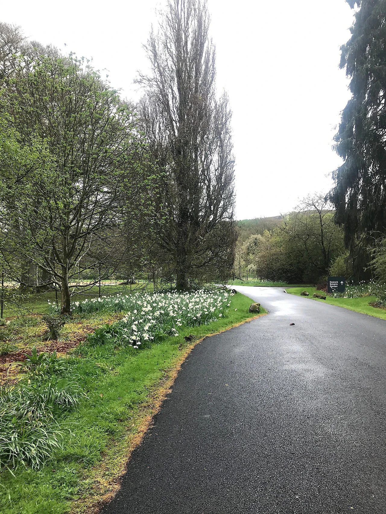 P20230508_194959562_6AA3C3B8-3415-48A5-A978-12C999008570.JPG?type=w1600