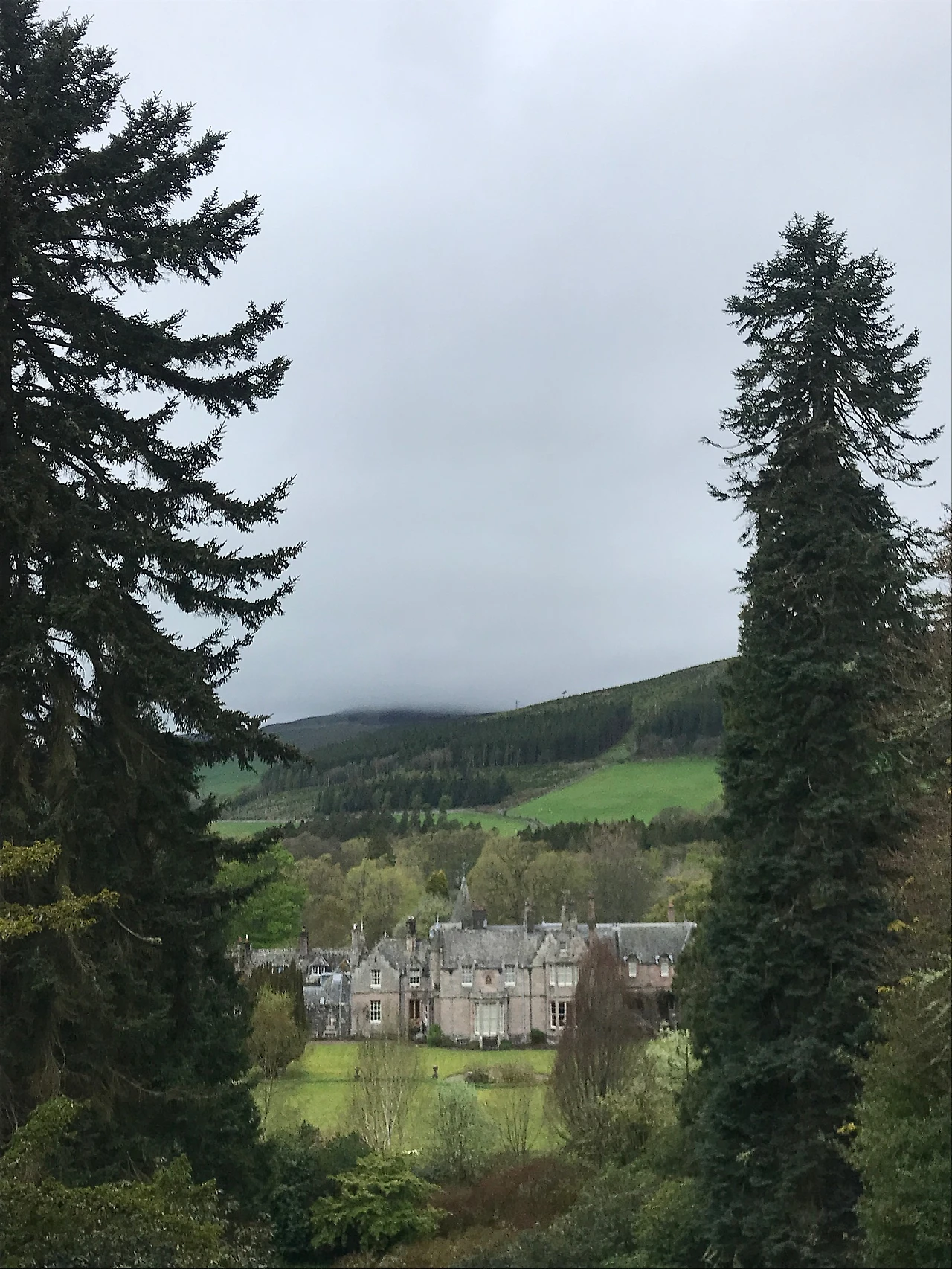 P20230508_210050212_53B07D4F-D213-4AAD-962D-57427CF60A47.JPG?type=w1600