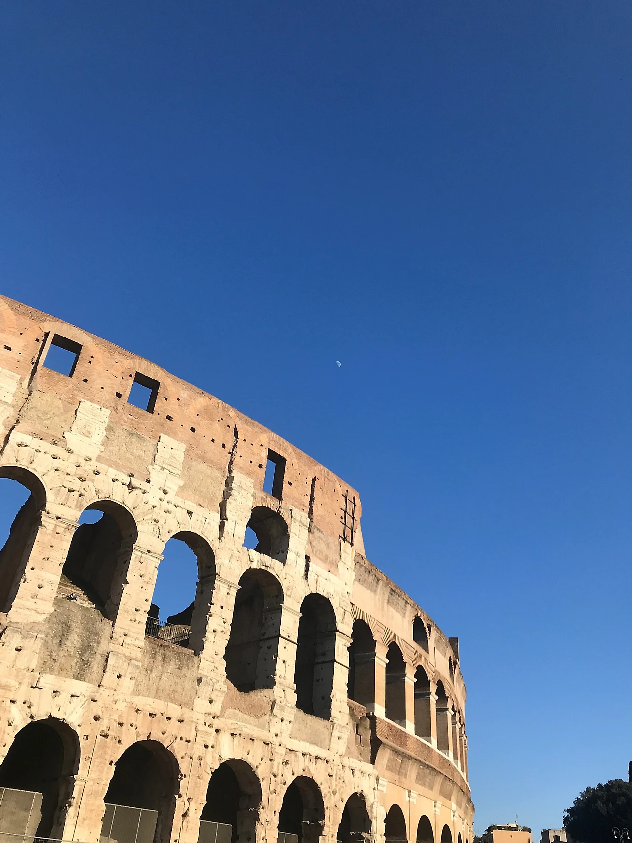 257AE97B-EB79-4156-8C9E-5294F27FF140.jpeg?type=w1600