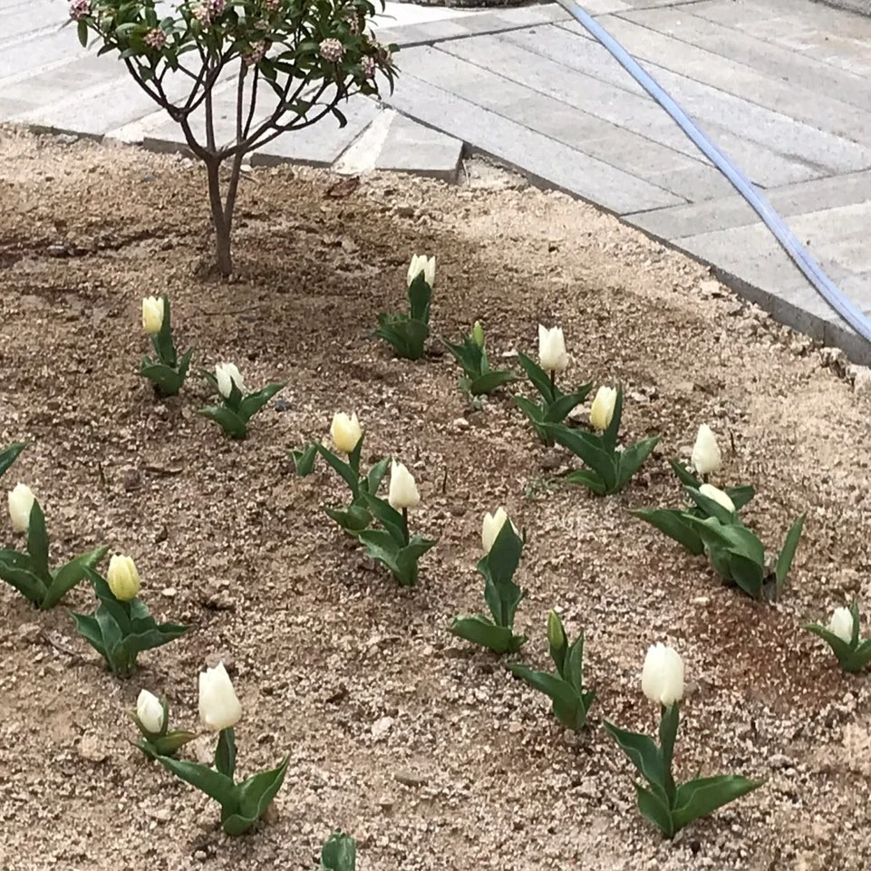 KakaoTalk_20201107_222329016_02.jpg?type=w1600