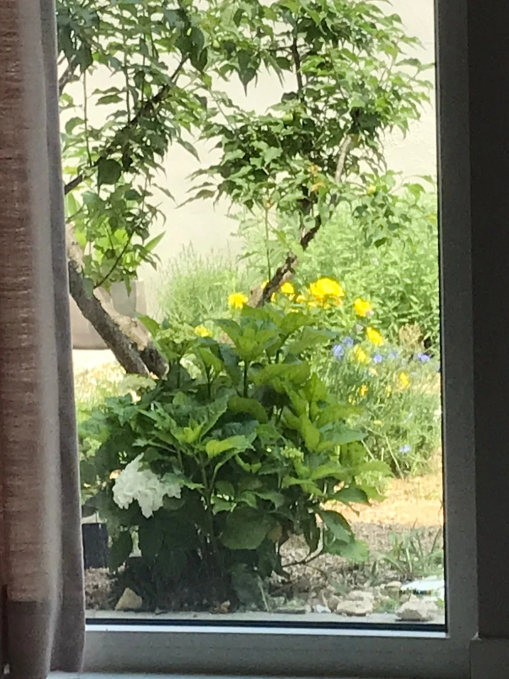 KakaoTalk_20210608_212901766.jpg?type=w1600