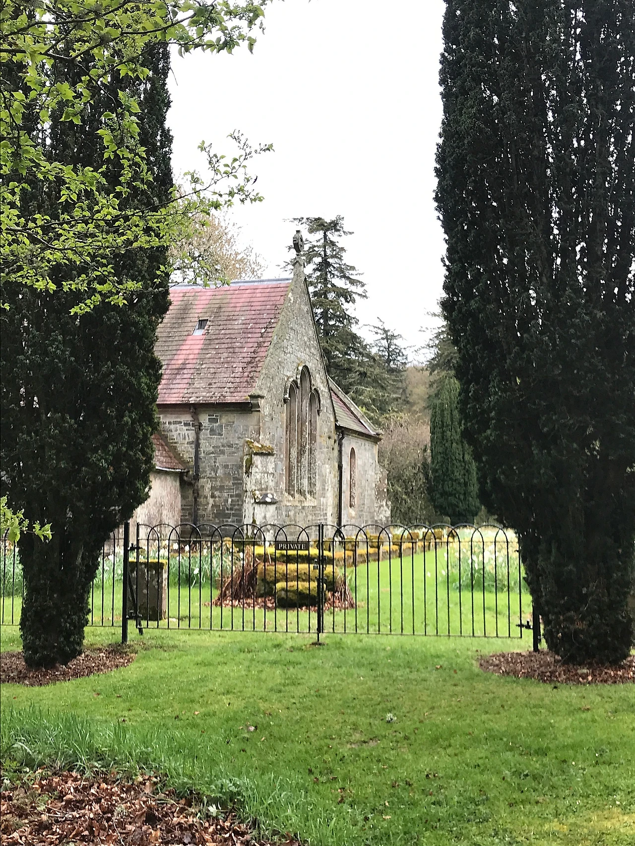 P20230508_203856306_B75649D5-42EA-4920-8CB2-E233B29807EB.JPG?type=w1600