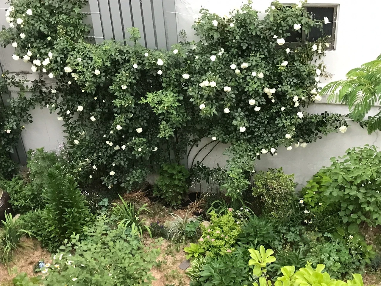 KakaoTalk_20220603_110331464.jpg?type=w1600