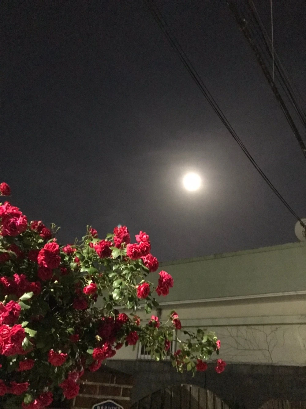 KakaoTalk_20220516_204017929.jpg?type=w1600