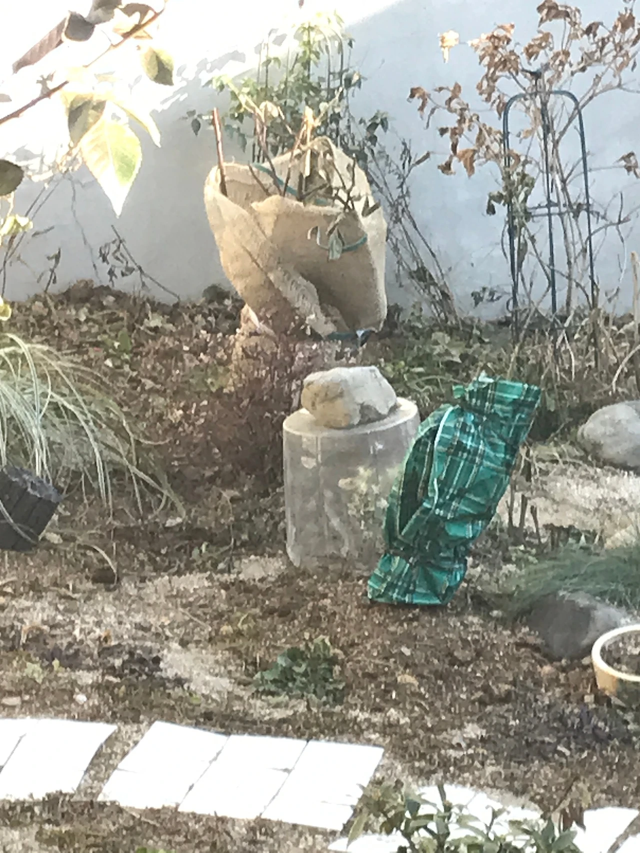 1B5238EF-8580-4094-8C95-0D3206AFEB49.jpeg?type=w1600