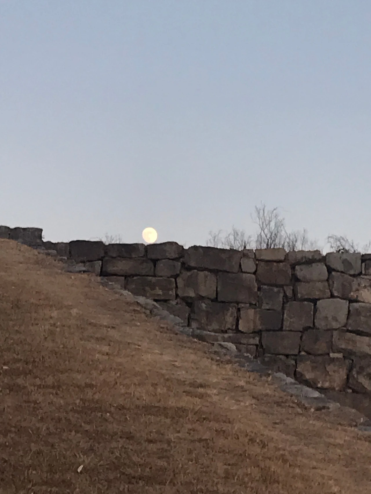 F8F6FA54-1412-414A-9C9C-ECE22E68CD52.jpeg?type=w1600