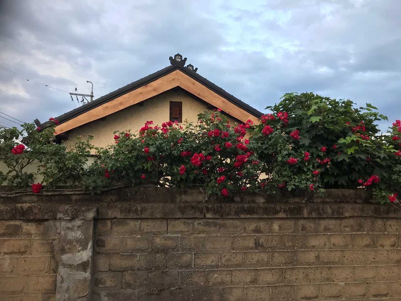 KakaoTalk_20210530_135601187_02.jpg?type=w1600