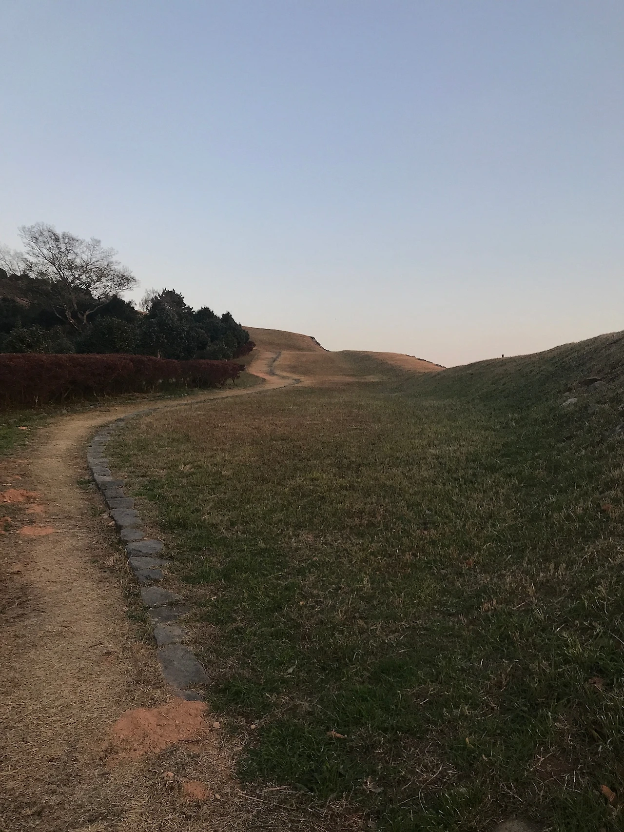 EBF1BCFE-DC4E-420F-9F88-AC1BE39A1B7E.jpeg?type=w1600