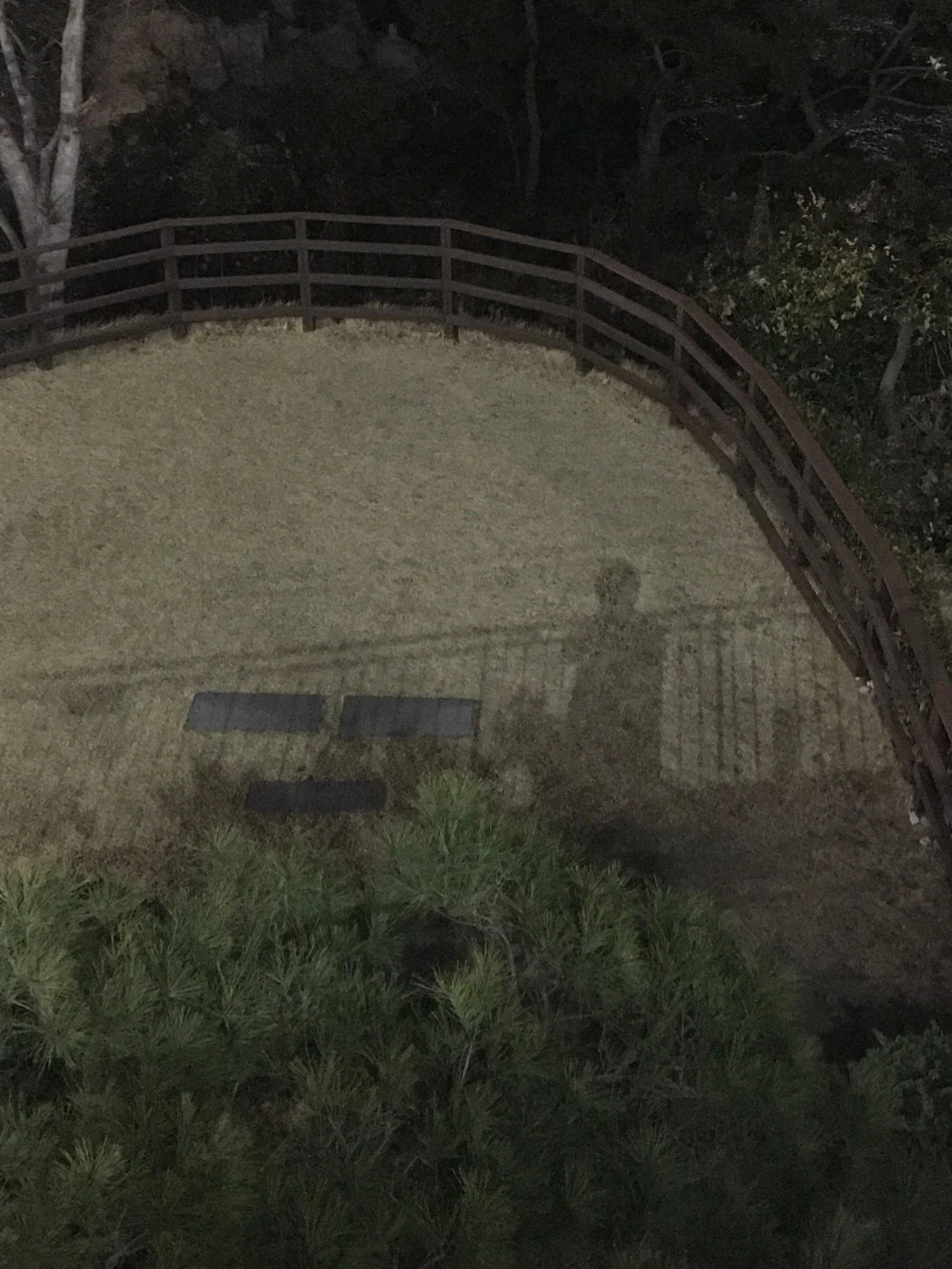 094DEE30-15EC-4CB6-89B7-1E225FF2E71A.jpeg?type=w1600