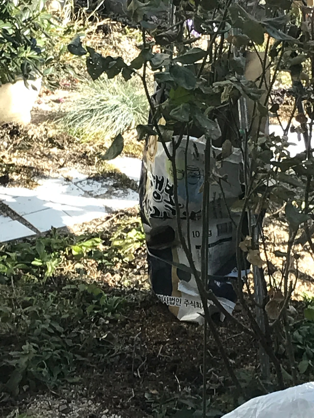 6163CC26-708B-4986-AFBE-6DA659239528.jpeg?type=w1600