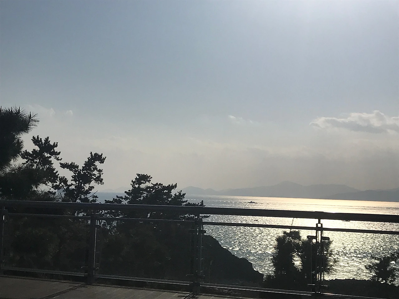 309AF39D-3690-40EC-9572-E3D42DED2817.jpeg?type=w1600