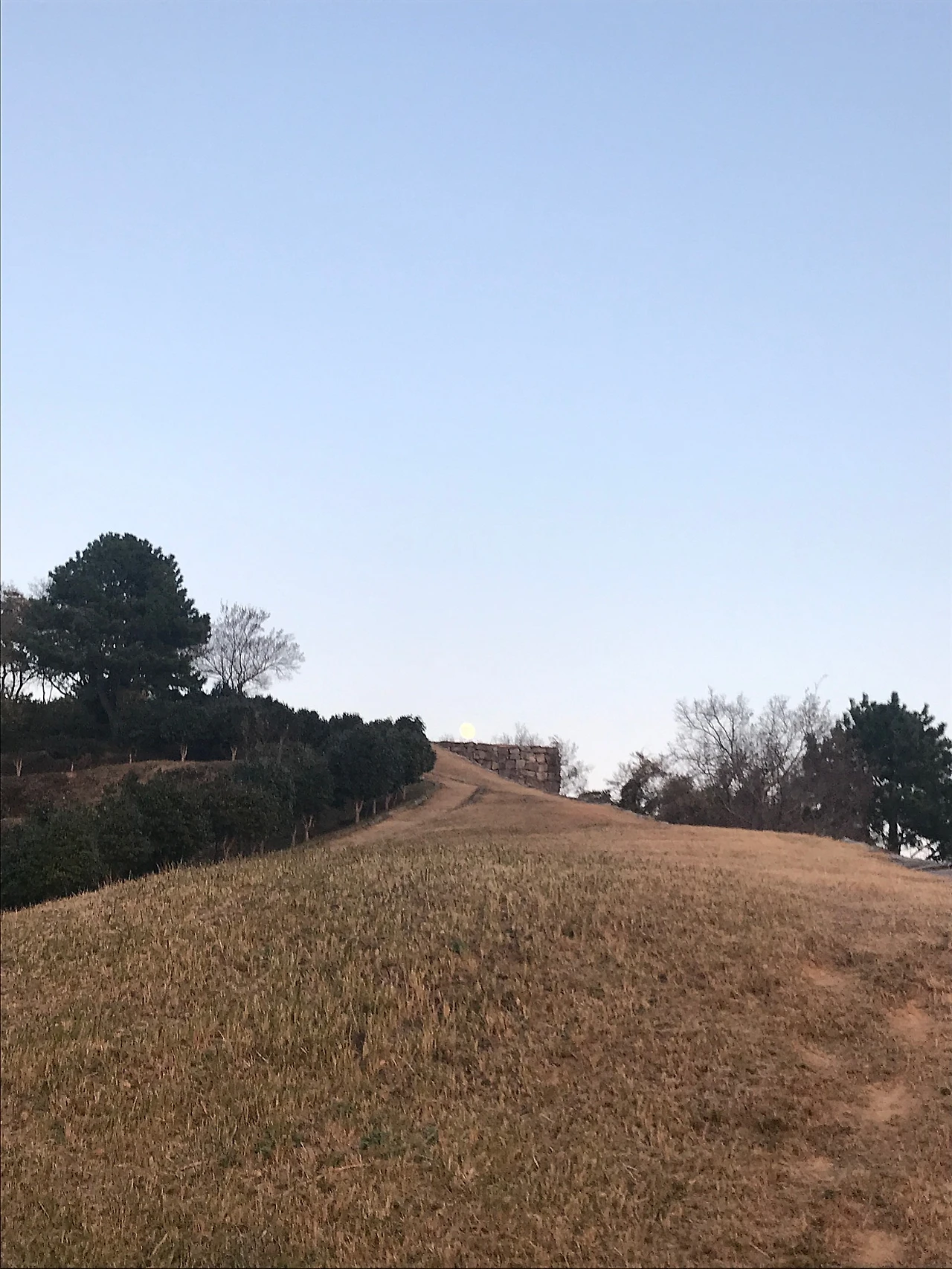 1B32A954-9FD9-4E9F-9780-50E20F894451.jpeg?type=w1600