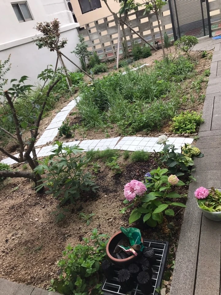 KakaoTalk_20201107_222329016_01.jpg?type=w1600