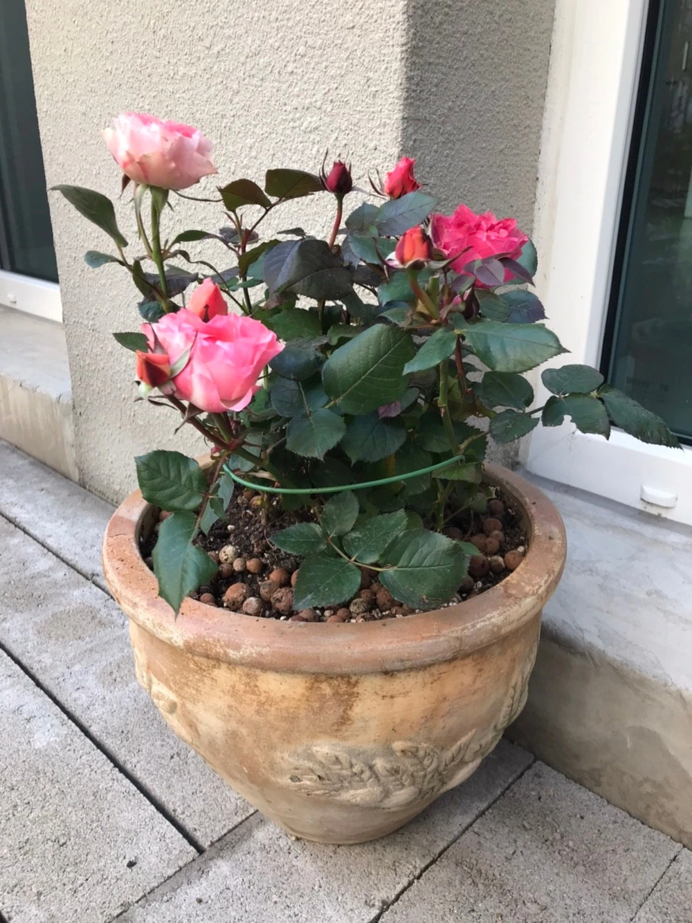 KakaoTalk_20220615_224848101.jpg?type=w1600