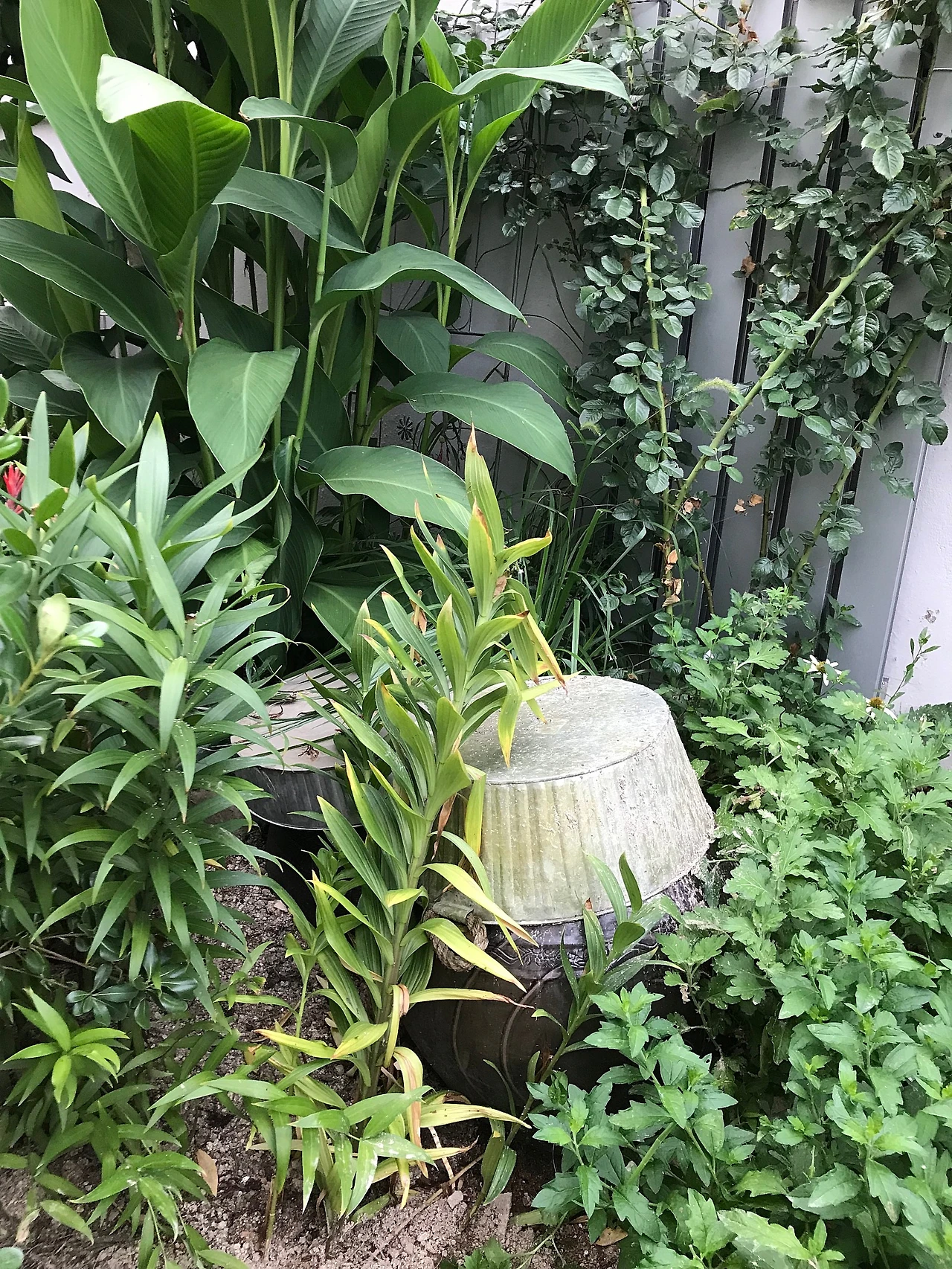 5618FF14-6528-410D-827E-F676CFD44242.jpeg?type=w1600