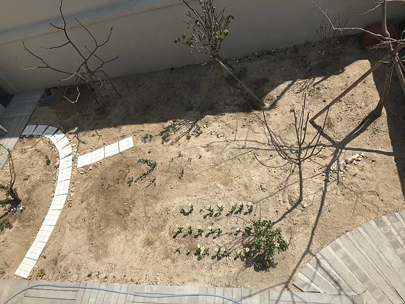 561F8770-97FC-4B51-B391-FA7FD12ABDE5.jpeg?type=w1600