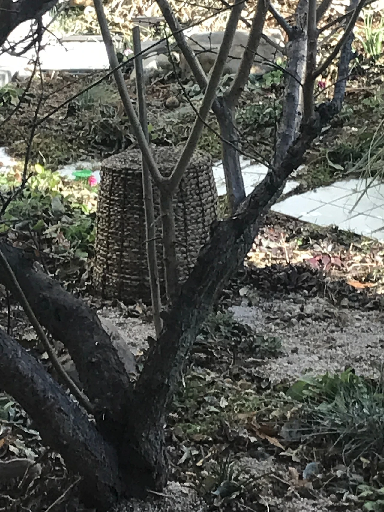 2382740C-B17A-440A-AA33-C45F3A287B15.jpeg?type=w1600