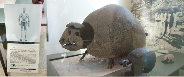 10pFJKcdXyGYZFTArh7daQeIffq8DnlCN-bNh0ldmRELA3h4hbGbFYl42EiBR_1iFu9I9H05UcON4uaQprETEek4eVKu2Ay_NpGbd4DIWOtlT_jWi3HGnFRvKsVrP9yLr30l7TKR