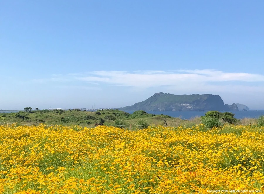 image_3081482691539419516841.jpg?type=w966