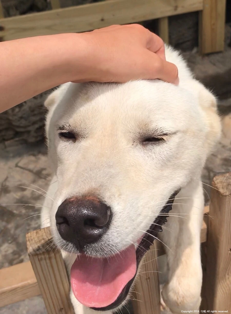 image_5186658181532520387448.jpg?type=w966