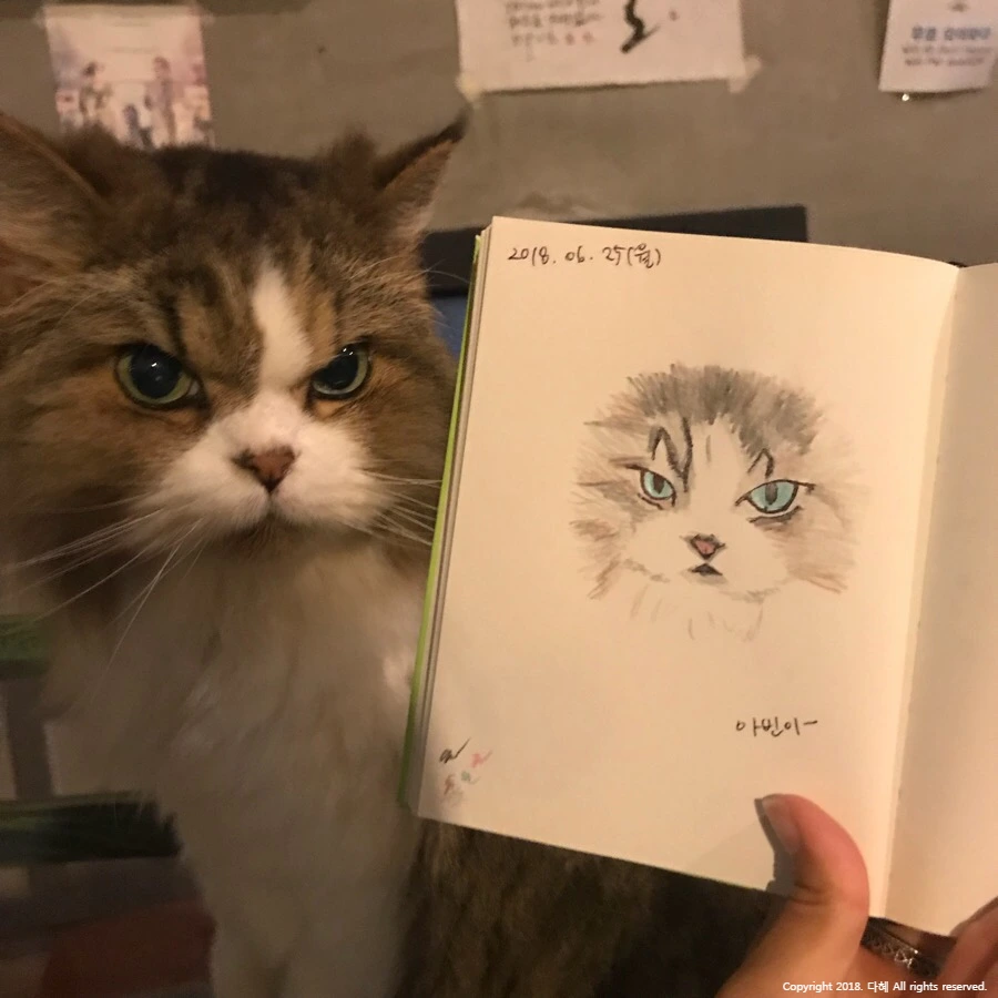 image_5588757991539536809776.jpg?type=w966