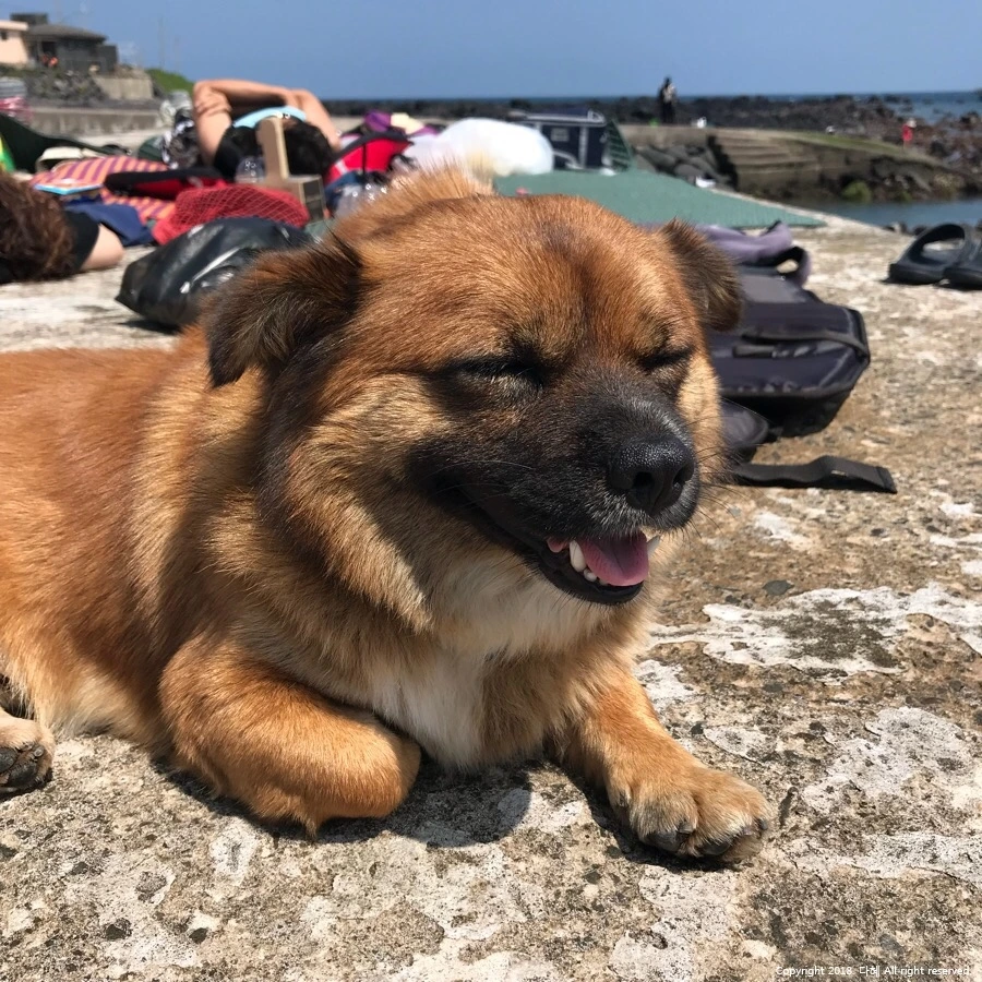 image_8087496081536135315873.jpg?type=w966