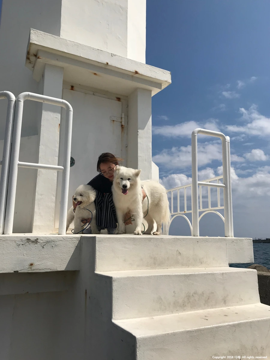 SE-6d9632b6-e5b7-4154-aa39-4bfc2423d8a8.jpg?type=w966