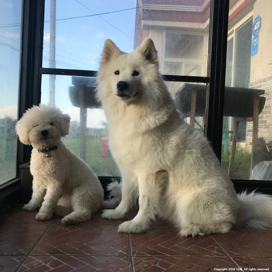 SE-6f59461d-aeac-4cbf-b83e-e7babe4a9795.jpg?type=w966