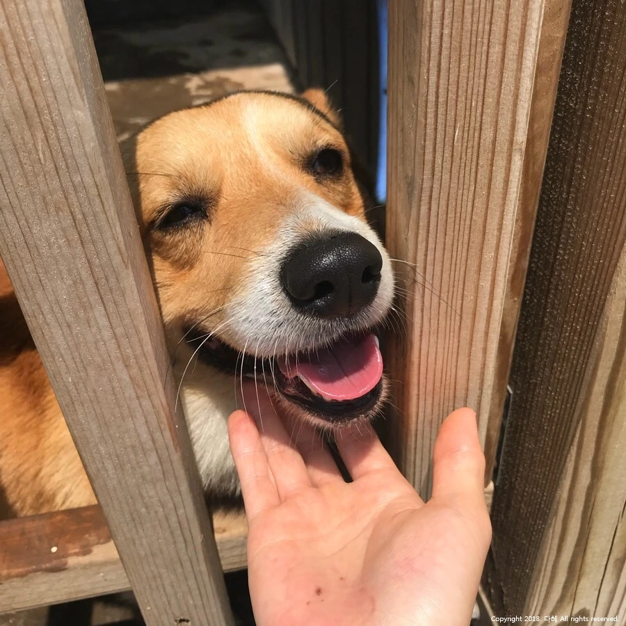 image_9667206881530848109170.jpg?type=w966