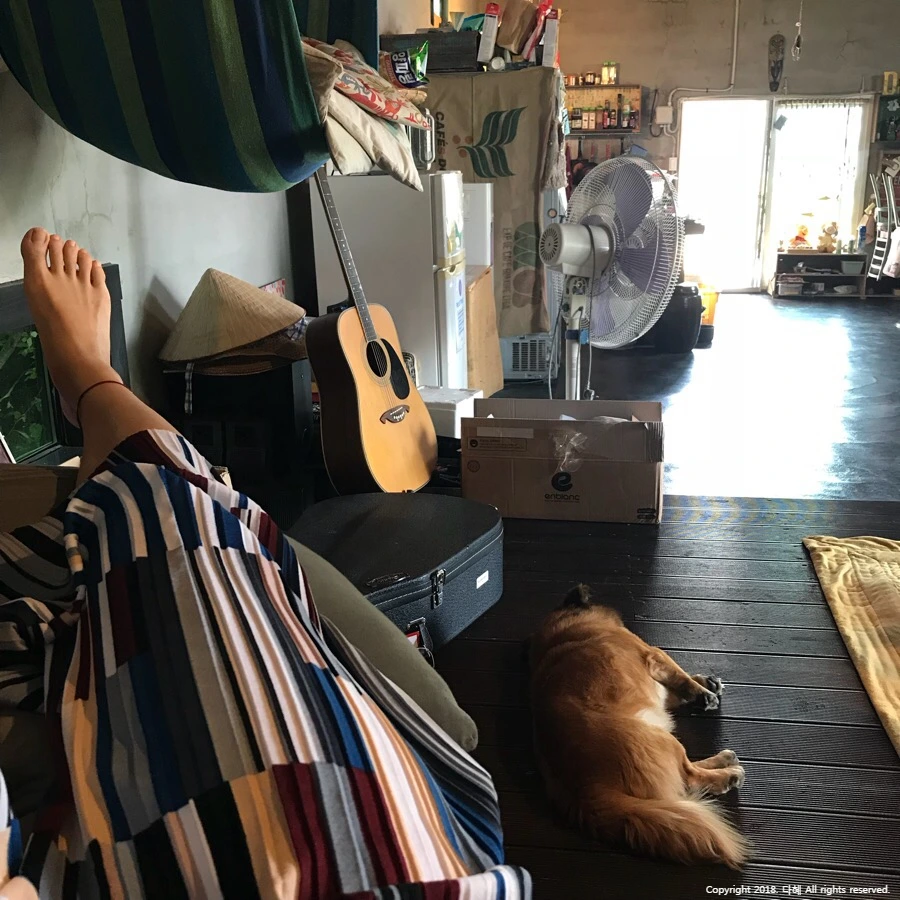 image_4985026651539533871273.jpg?type=w966