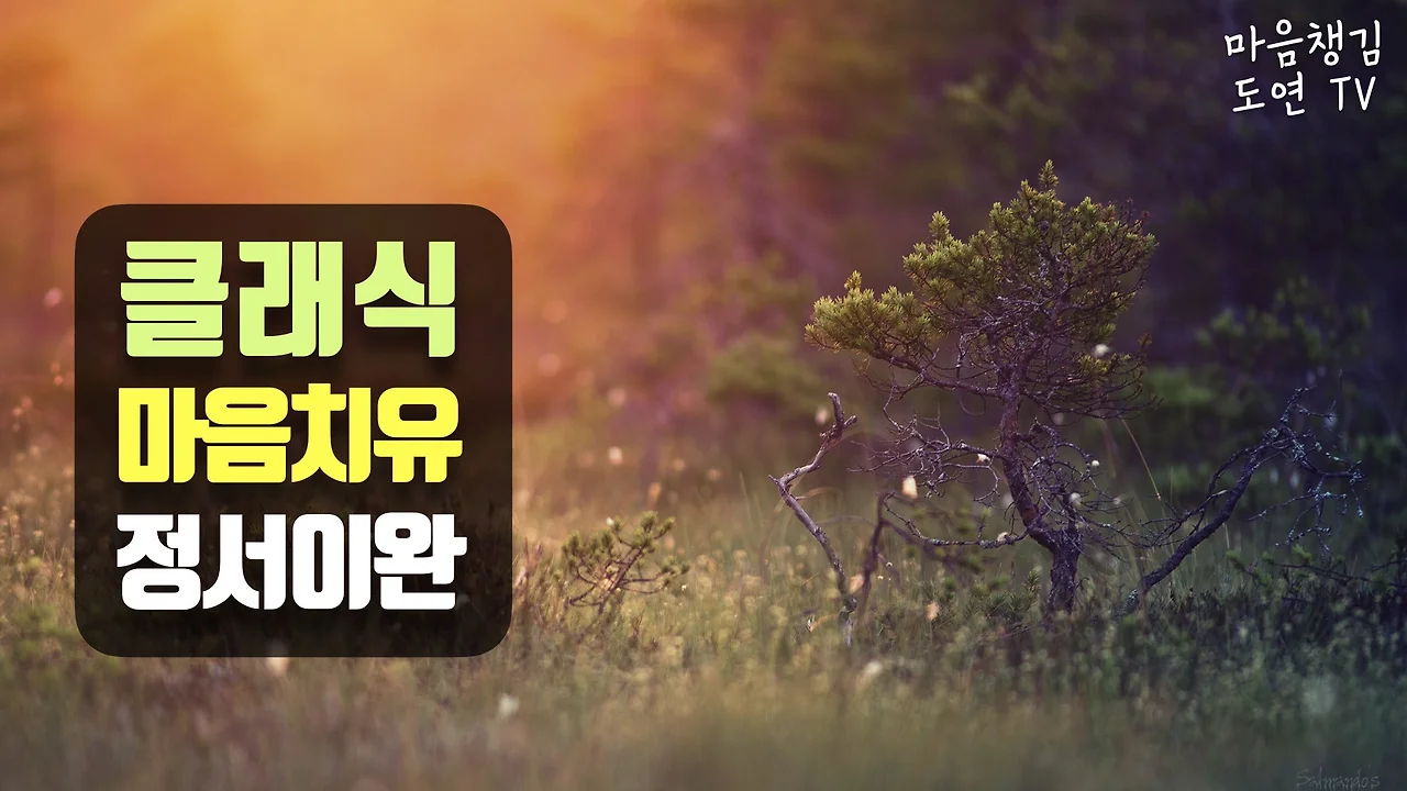 유썸-마음챙김 도연TV.001.jpeg