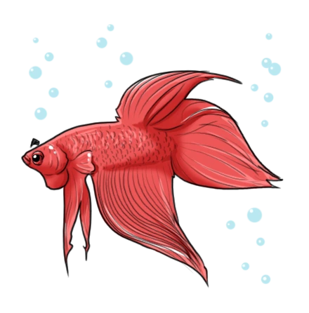 %EB%B2%A0%ED%83%80%EB%B2%A0%EC%9D%BC.png?type=w773