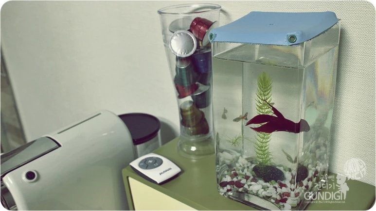 IMG_3296.JPG?type=w773