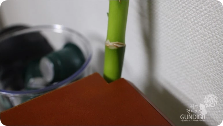 IMG_3573.JPG?type=w773