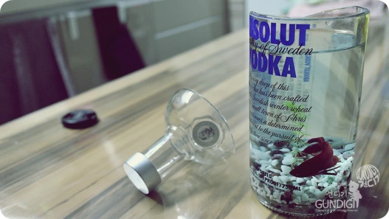 IMG_4314.jpg?type=w773