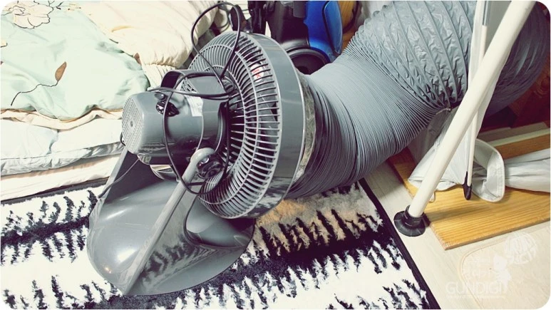 IMG_4100.JPG?type=w773