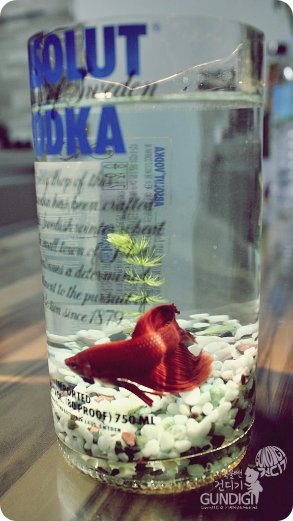 IMG_4312.JPG?type=w773