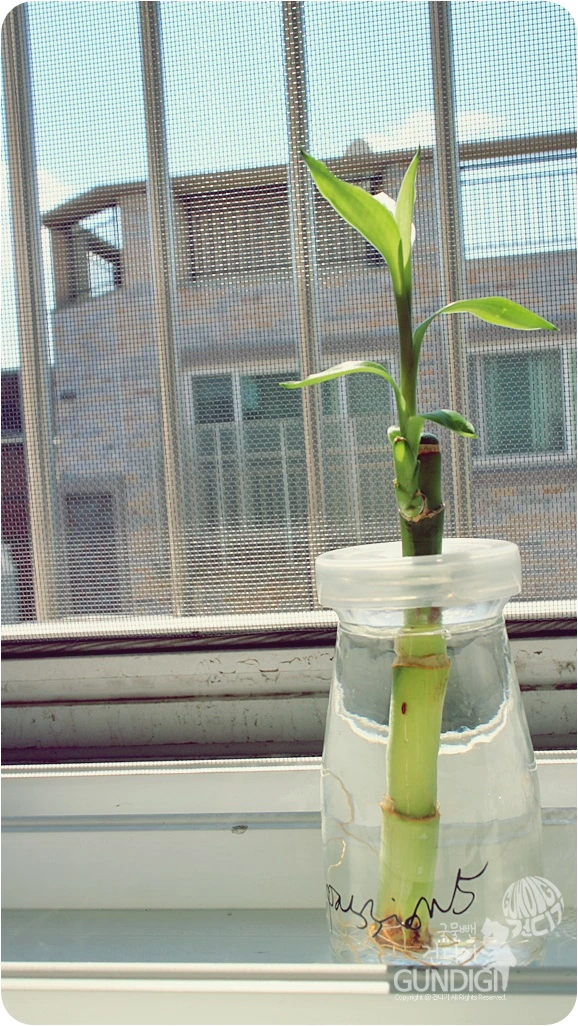 IMG_3820.JPG?type=w773