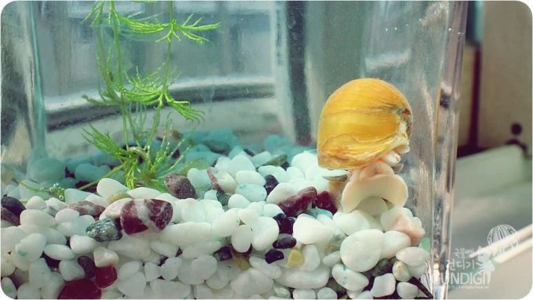 IMG_3825.JPG?type=w773