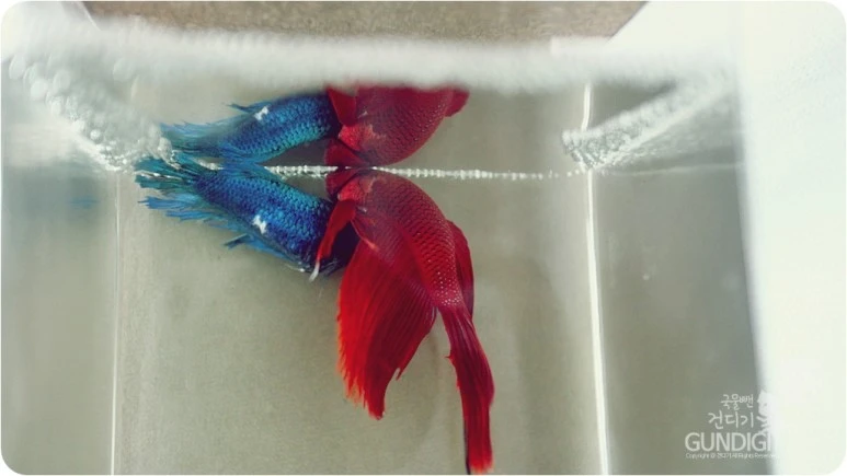 IMG_3935.JPG?type=w773