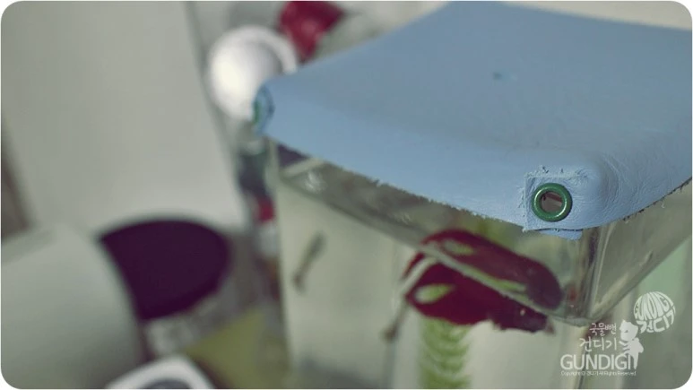 IMG_3295.JPG?type=w773